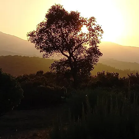 La Pantoufle Verte * Montauriol (Pyrenees-Orientales)