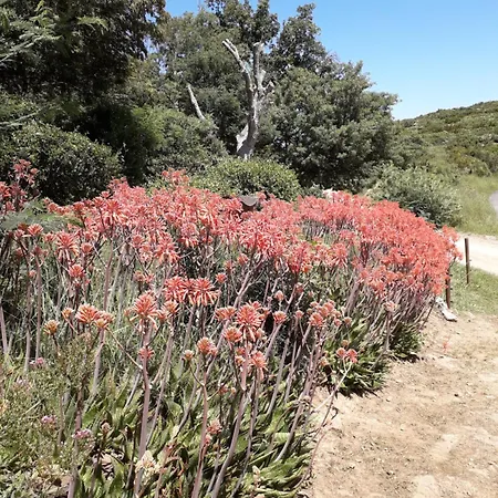 ベッド・アンド・ブレックファスト La Pantoufle Verte Montauriol