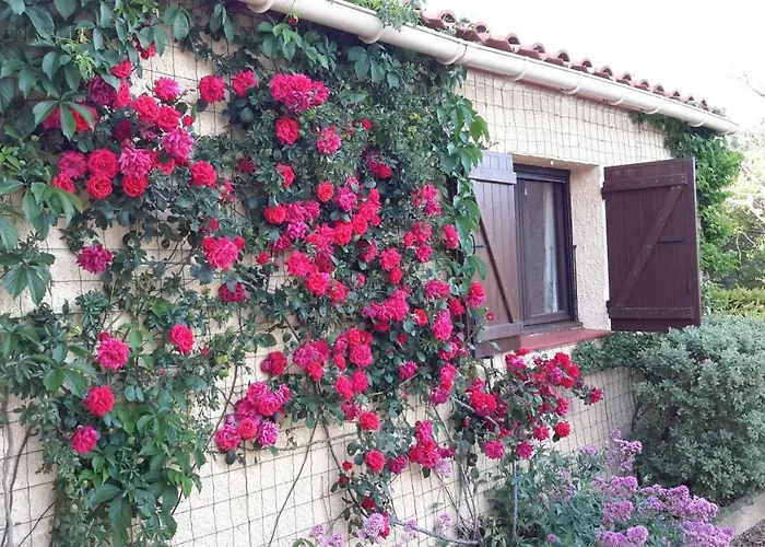 Bed & Breakfast La Pantoufle Verte 3*